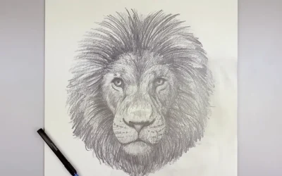 How to Draw a Lion Sketch