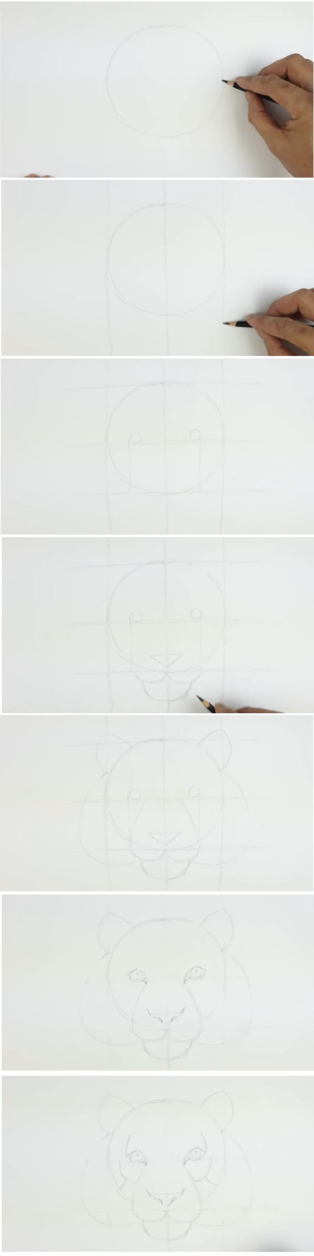 example drawing a lion cartoon face